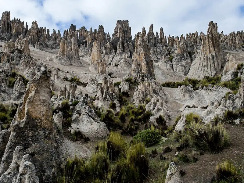 arequipa rock forest peru